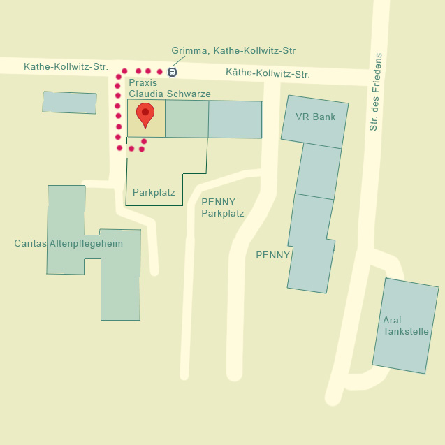 Ein Screenshot einer Google Maps Karte mit dem Ort der Praxis